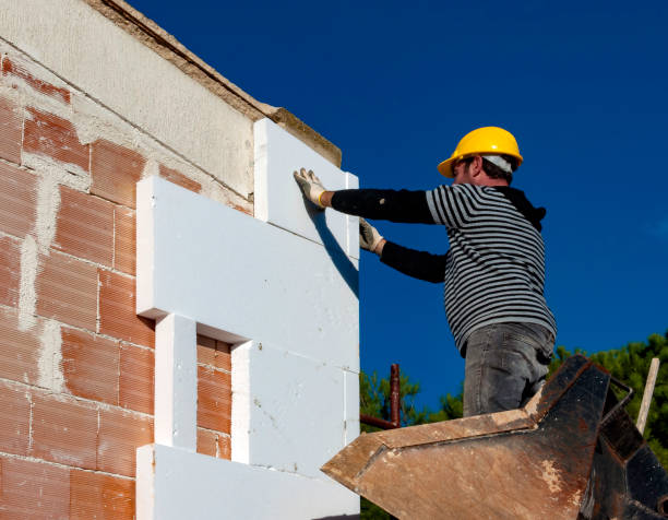 Best Insulation for Specific Applications in South Monrovia Island, CA