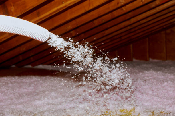 Best Specialized Insulation Services in South Monrovia Island, CA