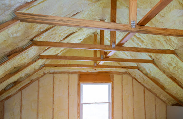Professional Insulation Contractor in South Monrovia Island, CA