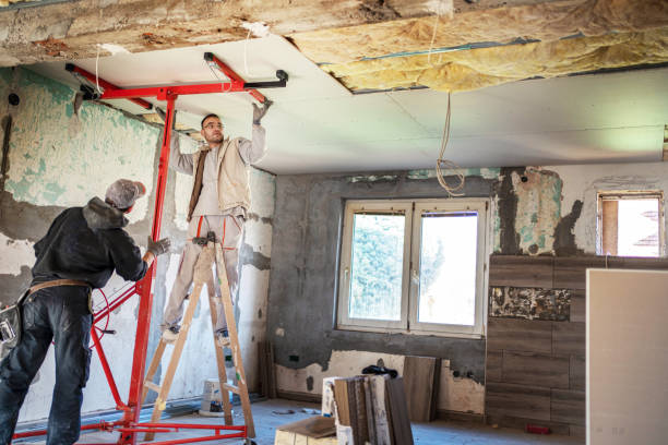 Best Cellulose Insulation in South Monrovia Island, CA