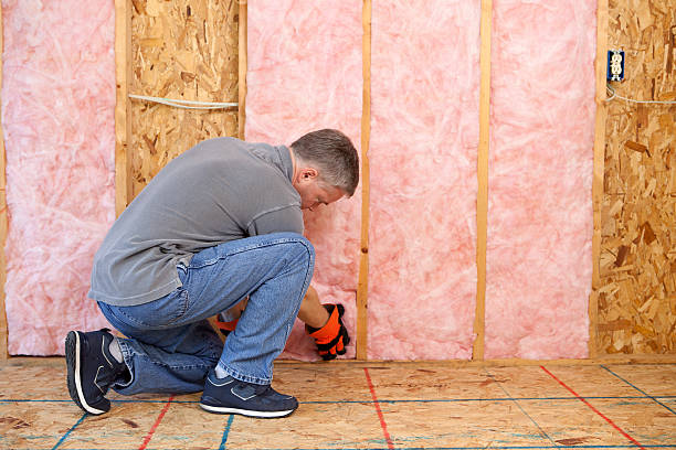Best Commercial Insulation in South Monrovia Island, CA