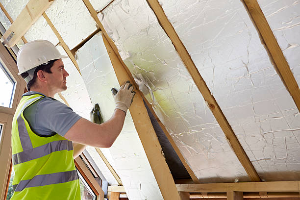Best Fiberglass Insulation in South Monrovia Island, CA